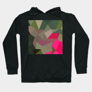 Cerise Red Green Abstract Low Polygon Background Hoodie